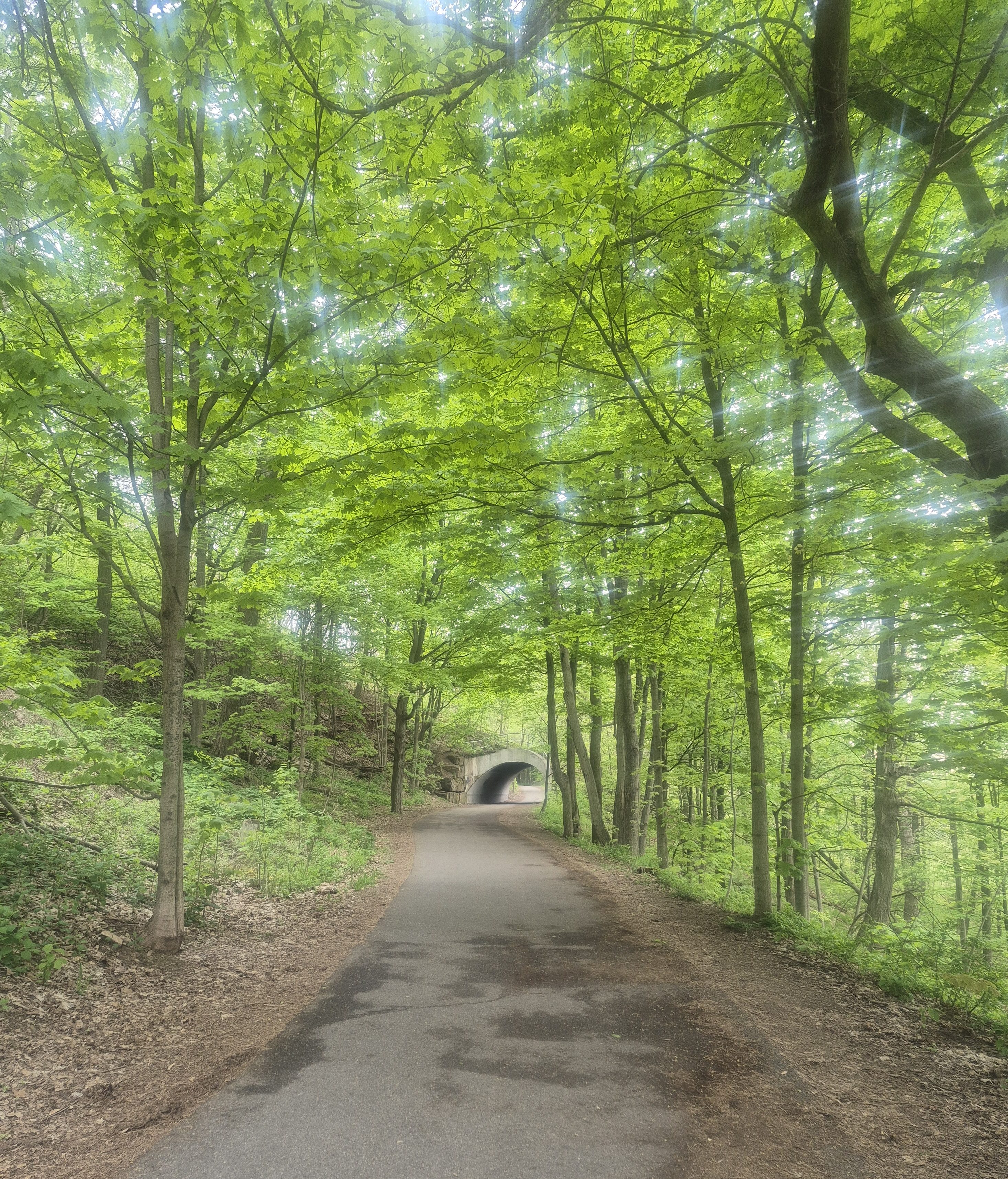 Connecting Health to Nature